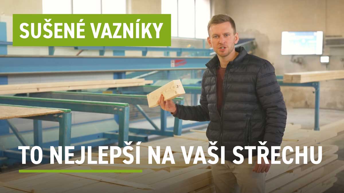 video-susene-vazniky-web.jpg